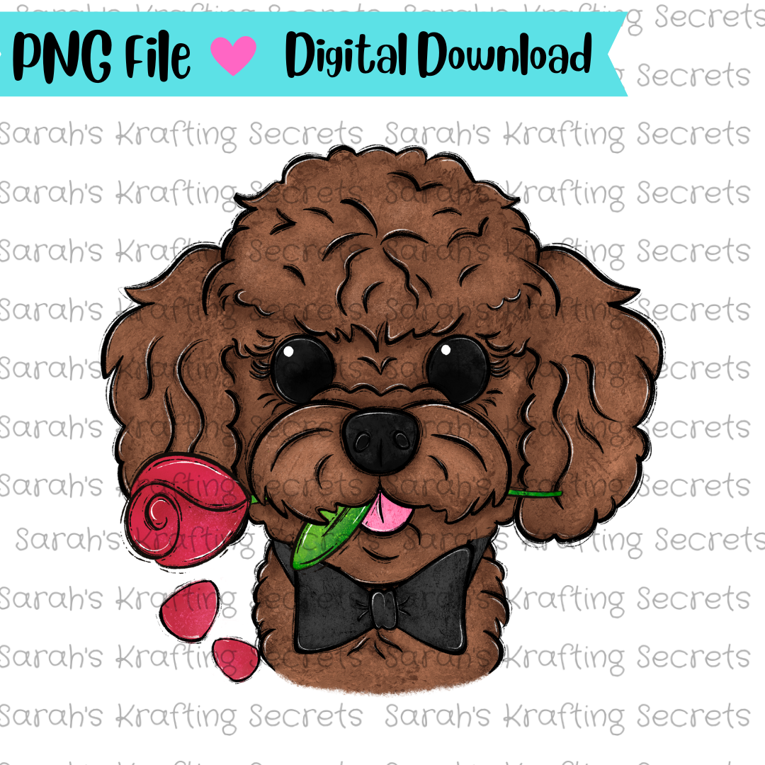 Boy Valentine's Day Dog Toy Poodle png