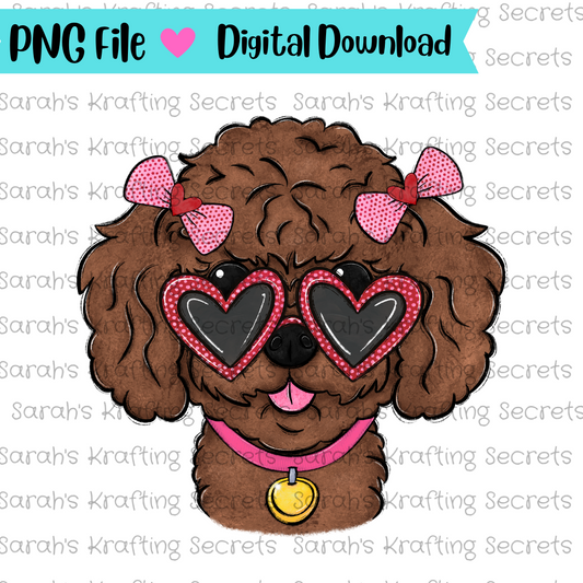 Valentine's Toy Poodle Sublimation Png