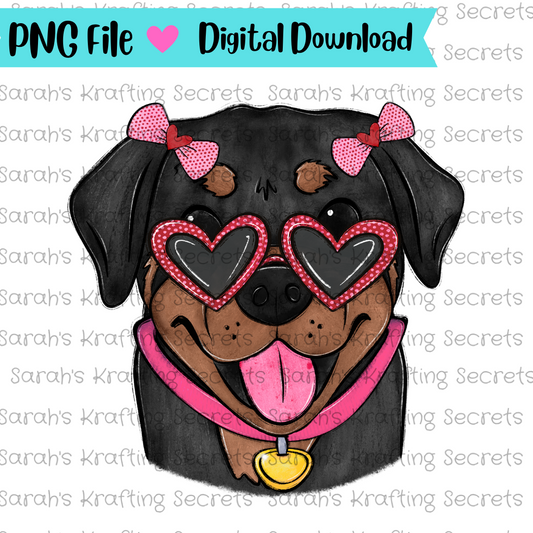 Valentine's Rottweiler Sublimation png 