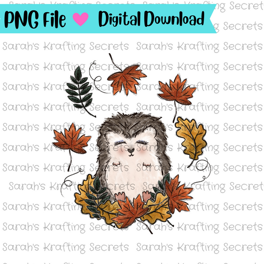 Fall Porcupine Sublimation