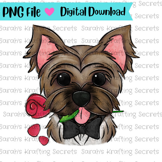 Boy Valentine's Day Dog Sublimation png