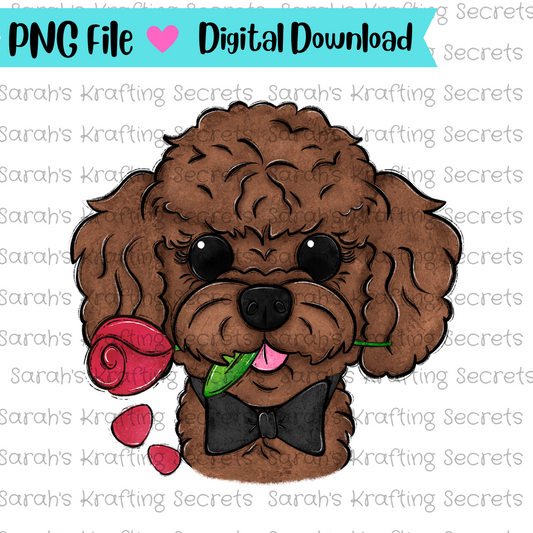 Boy Valentine's Day Dog Toy Poodle png