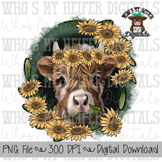 Cute Highland Cow Sublimation Design Hand Drawn Sunflower Cow PNG
