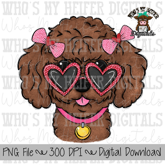 Valentine's Day Girl Toy Poodle PNG